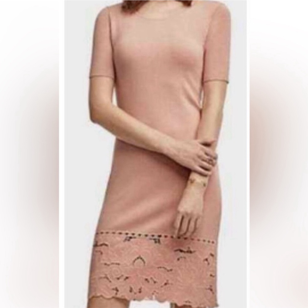 NWT Ann Taylor Dusty Pink Knitted Short Sleeves Embroidered Hem Dress - Picture 2 of 7